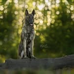 Fritz Weber - @f.weberkeller - Instagram
