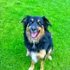 fritzweber3898 - @fritzweber3898 - TikTok