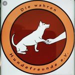 Fritz Wolf - @diewahrenhundefreunde_e.v - Instagram