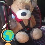 Fritz Wolf - @friz_wolf - Instagram