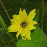 @frode_jensen01 - Instagram