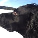 Frode Jensen - @frodejens - Instagram