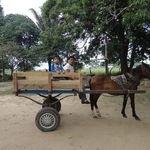 Froilan Arias Suarez - @alex8.964 - Instagram