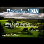 froilan castillo - @josuedterradocst - Instagram