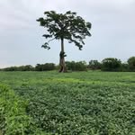 Castro_froilan🔥 - @froilan_castro_ti - Instagram
