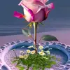 David Froilan Suárez - @david.froilan.sur - TikTok