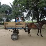 Froilan Arias Suarez - @alex8.964 - Instagram