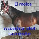 Froylan Sanchez Martinez - @froylansanchezmartinez - Instagram