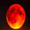 Fuad Hossain - @fuad.hossain044 - TikTok