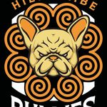 Cheu Fue Her | MIDWEST + PET SERVICES - @hill_tribe_bullies_ceo - Instagram