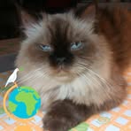 Fumi  Chen - Facebook