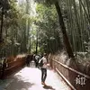 Fumi Chen - @31736958481 - TikTok