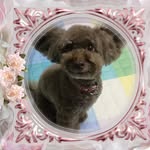 Fumiko Aoki - @zhongzhenzhi_ai235 - Instagram
