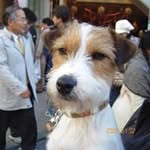 青木富美子 - @fumiko_aoki_machida - Instagram