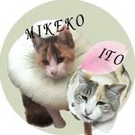 fumiko＿ito - @fumiko_itogram - Instagram