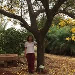 Margarida Fumiko Ito - @margarida_ito - Instagram