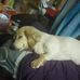Fun Chen - Facebook