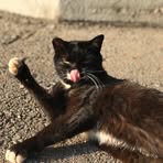Fun Kwan - Facebook