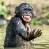 fun&laughter reposted - @funlaughter.repos - TikTok