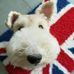 Fun Leung - Facebook