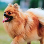 Fun Leung - @funfun999 - Instagram