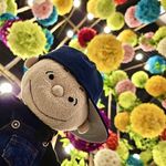 Siu Fun Leung - @siu_siu_fun - Instagram