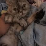 Fun Tsang - @fun.tsang.7 - Instagram