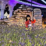 Ping Tsang - @fungpingtsang - Instagram