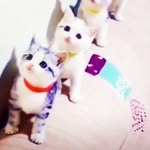 Funda akin - @fundaakin_56 - Instagram