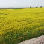 Funda Akıncı - @fundaakinci83 - Instagram