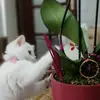Funda - @funda.esen19 - TikTok