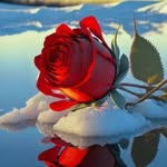 Funda Taşkıran - @fundafundam1979 - Instagram