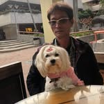 Chow Fung - @fungchowfung - Instagram