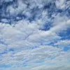 Wai Fung Chow - @wai.fung.chow - TikTok