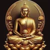 Afung Chung - @afung.chung - TikTok