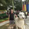 Au fung chung - @fungchungau - TikTok