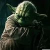 Fung Chu - @31739835177 - TikTok