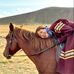 Fung Choi Hung - Facebook