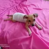 Funglee - @fungleebelleza1 - TikTok