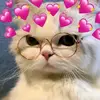 Fung Li - @fung.li - TikTok
