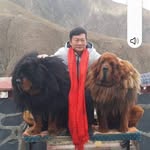 Fung Li - @fungli007 - Instagram