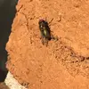 fungli27 - @fungli.1 - TikTok
