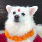 Fungma Limbu - @fungma_limbuu - Instagram