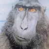 Zul Hajji833 - @fungsit - TikTok