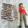 Fung So - @30235201721 - TikTok