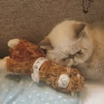 阿綿 - @fung_soft - Instagram
