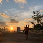 @fungso - Instagram