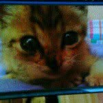 @fungsosooo___kiko - Instagram