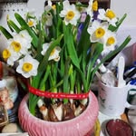 Fung Yim - @fu.ng319 - Instagram