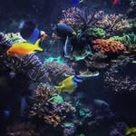 Fung Yim - @fungyimyim - Instagram
